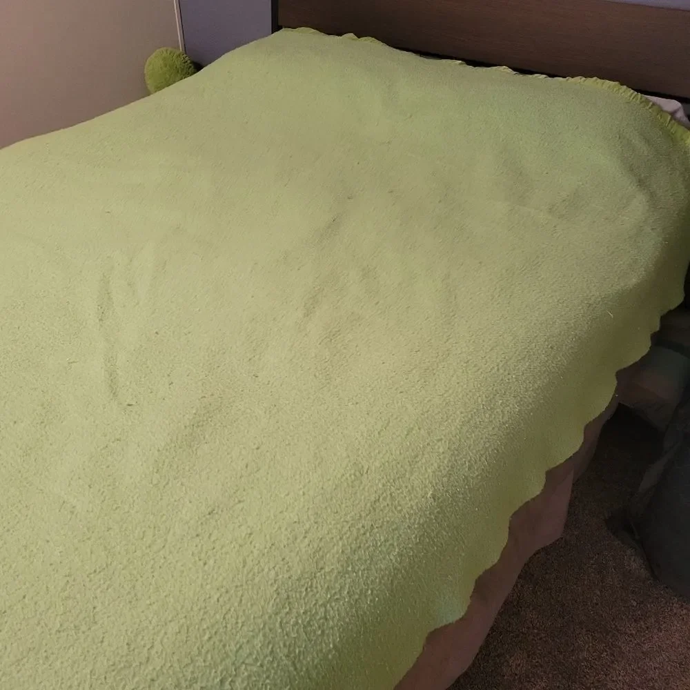 1950s vintage warm wooly bed blanket, pure wool blanket w/ satin binding